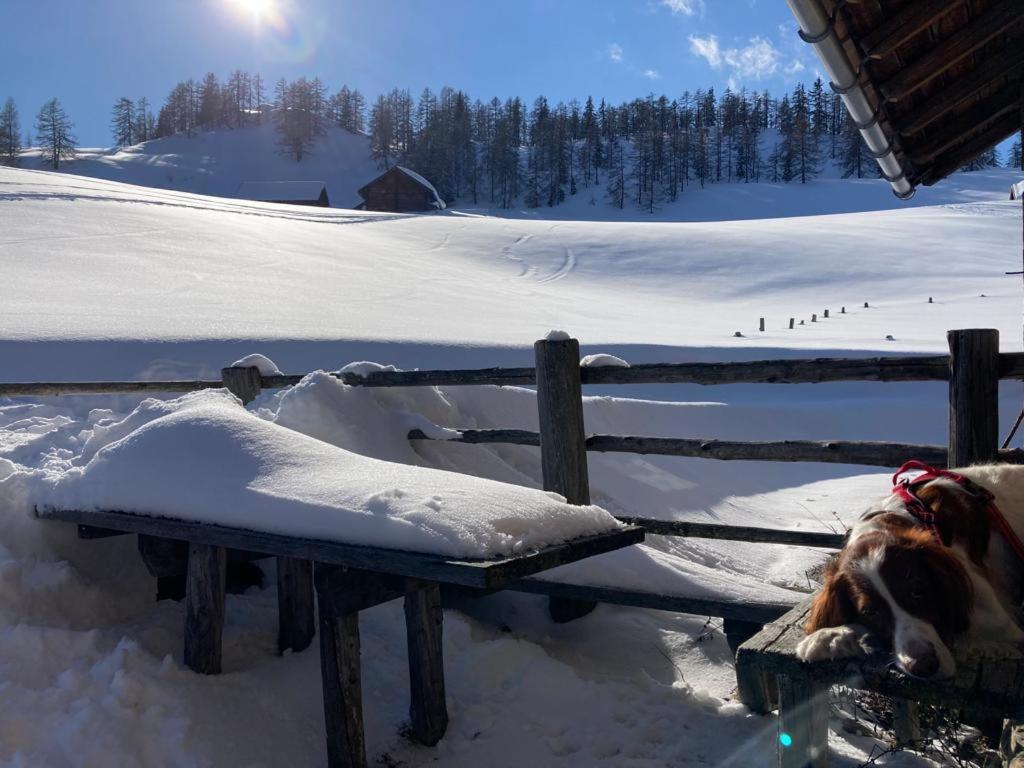 Appartementhaus Reiter Village Room Altenmarkt im Pongau Eksteriør bilde
